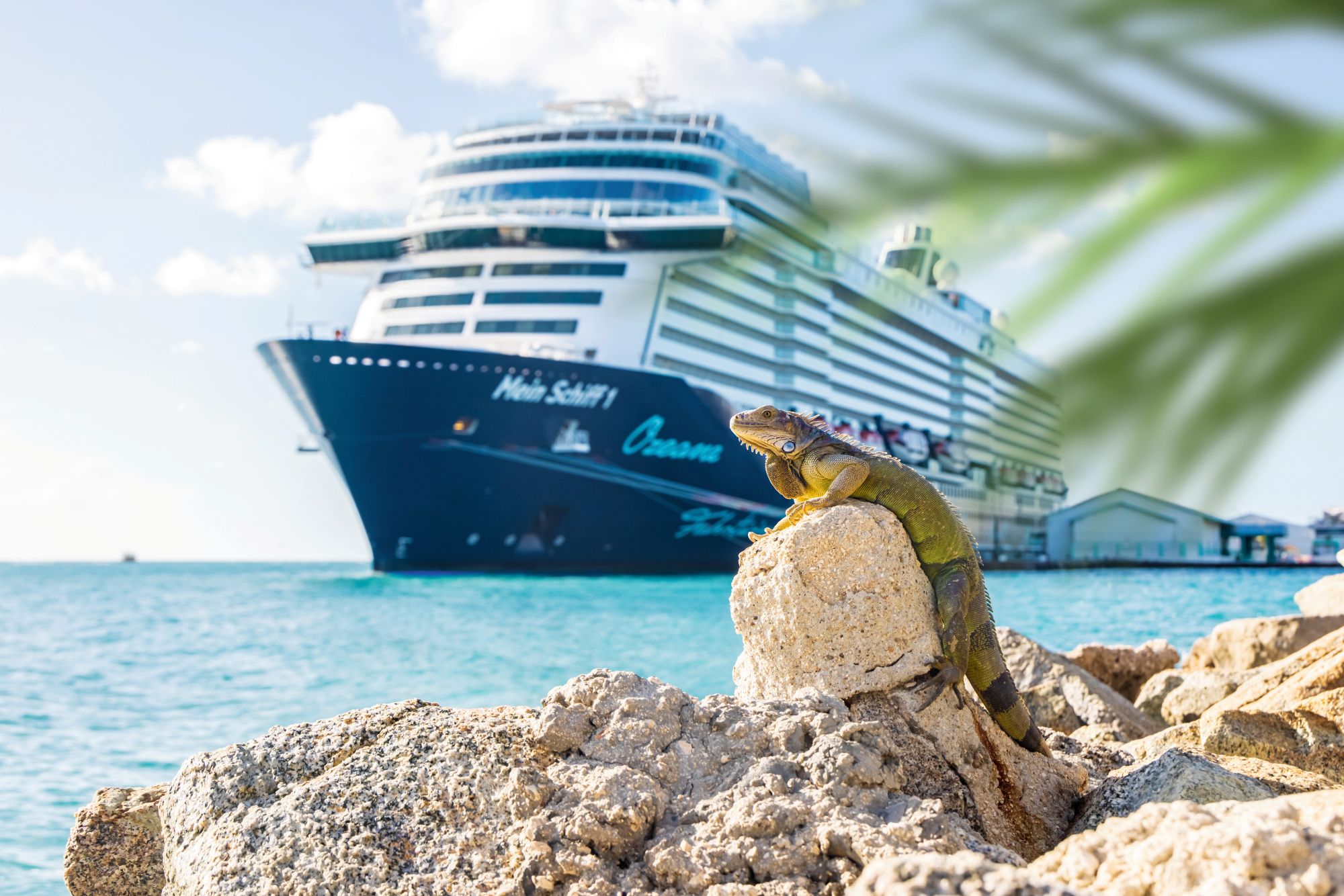 Mein Schiff 1 Impressionsbild