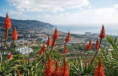 inselzauber im atlantik
