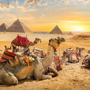 Grand Egyptian Museum Kairo