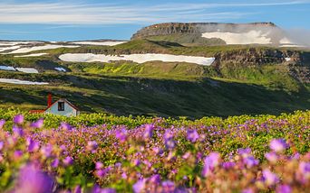 highlights am polarkreis