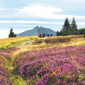 Riesengebirge