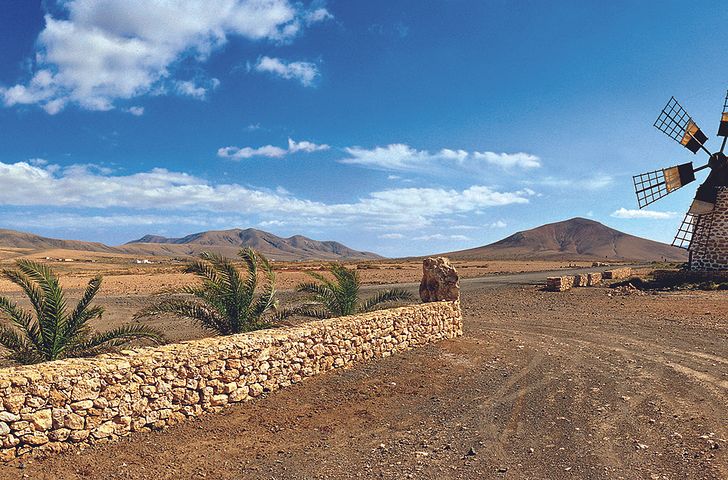 Impression zu AIDA Einzelkabinen Special - AIDAcosma - Kanaren & Madeira
