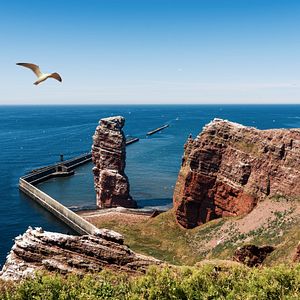 HANSEATIC nature - Hapag-Lloyd Cruises - HANSEATIC nature
