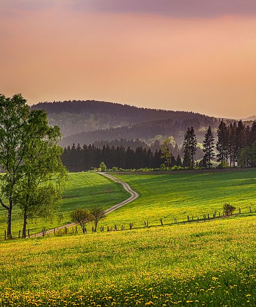 Sauerland