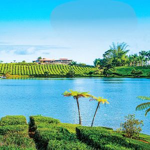 Trendtours: Mauritius