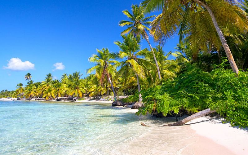 von hamburg oder kiel in die karibik