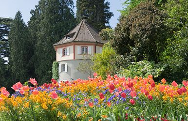 a-rosa frühlingsspecial