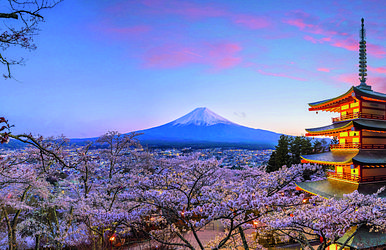 große japan-rundreise zur frühlingsblüte