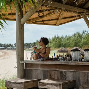 Wasserschwein auf den Bahamas