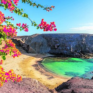 La Gomera Nationalpark Garajonay 