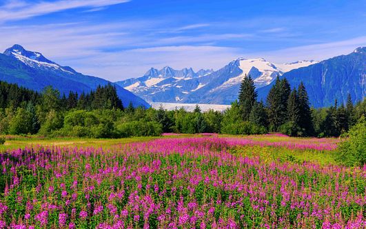 poesias nordpazifik-eskapade