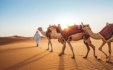 orient mit oman