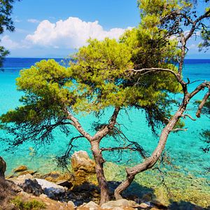 Chalkidiki Sithonia Küste Griechenland 