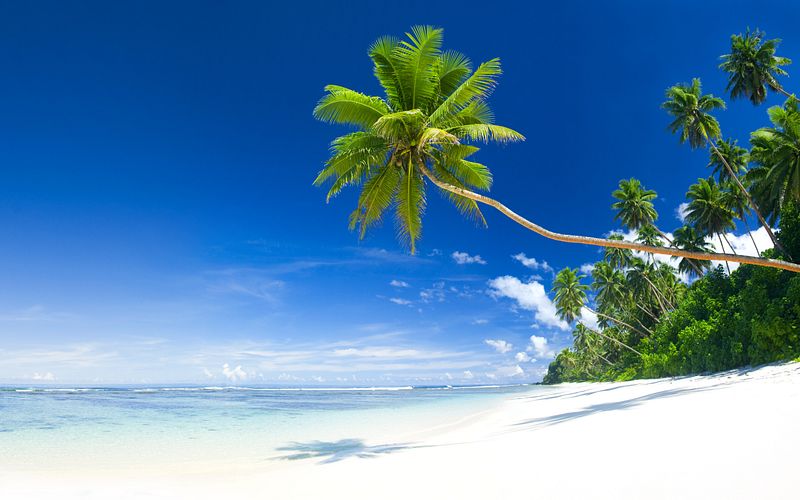 florida und bahamas
