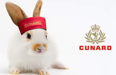 cunard – bis zu 2.230 usd bordguthaben