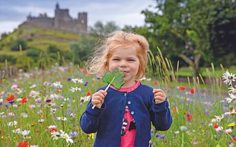 großbritannien & irland