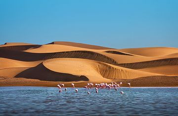 Namibia und Südafrika intensiv