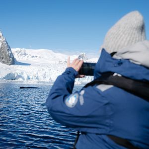 Die MS Roald Amundsen mit Adélie Pinguinen © Ted Gatlin