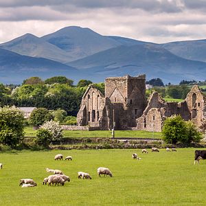 Hore Abbey in Cashel Irland