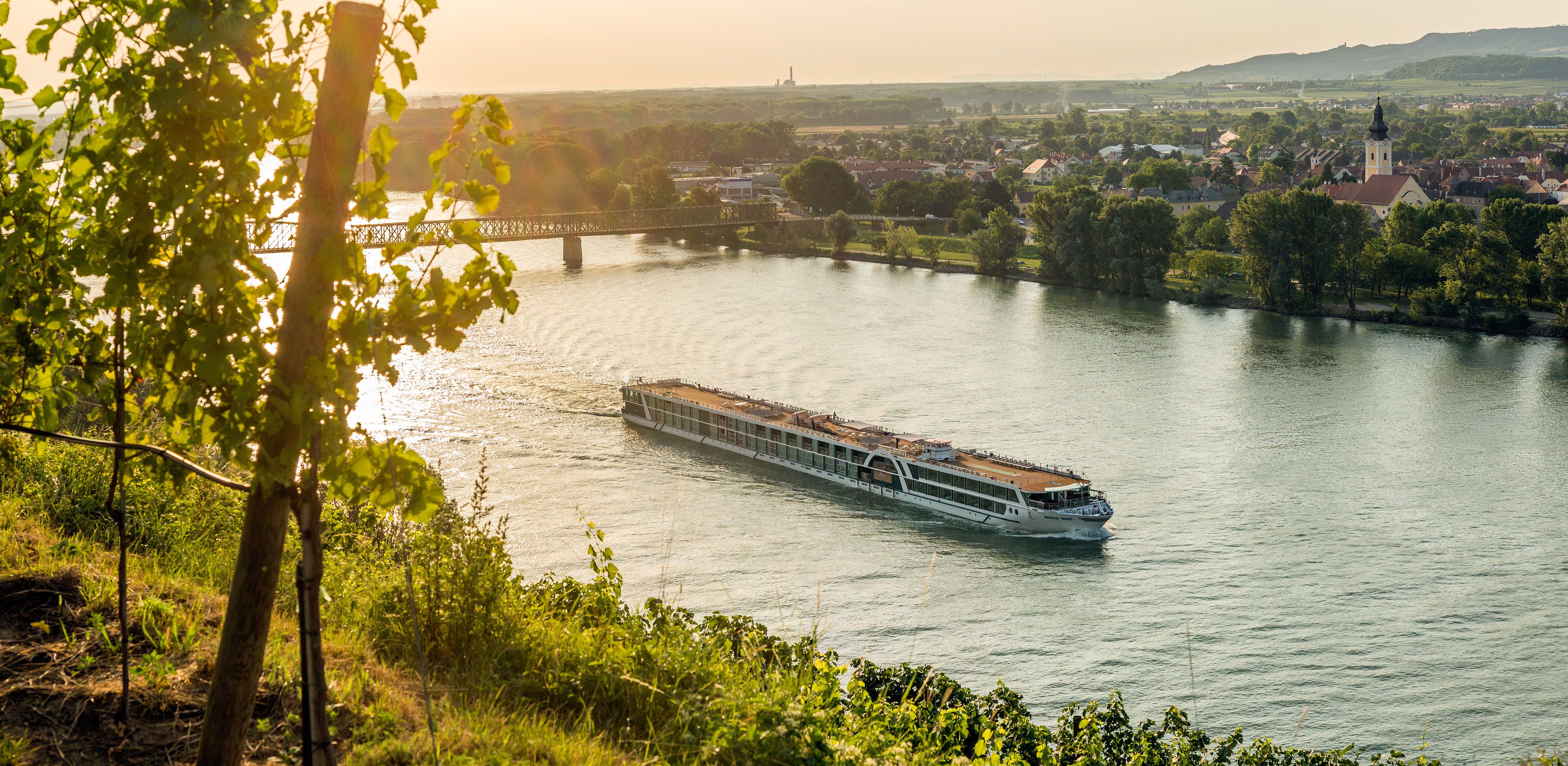 MS AMADEUS Silver II