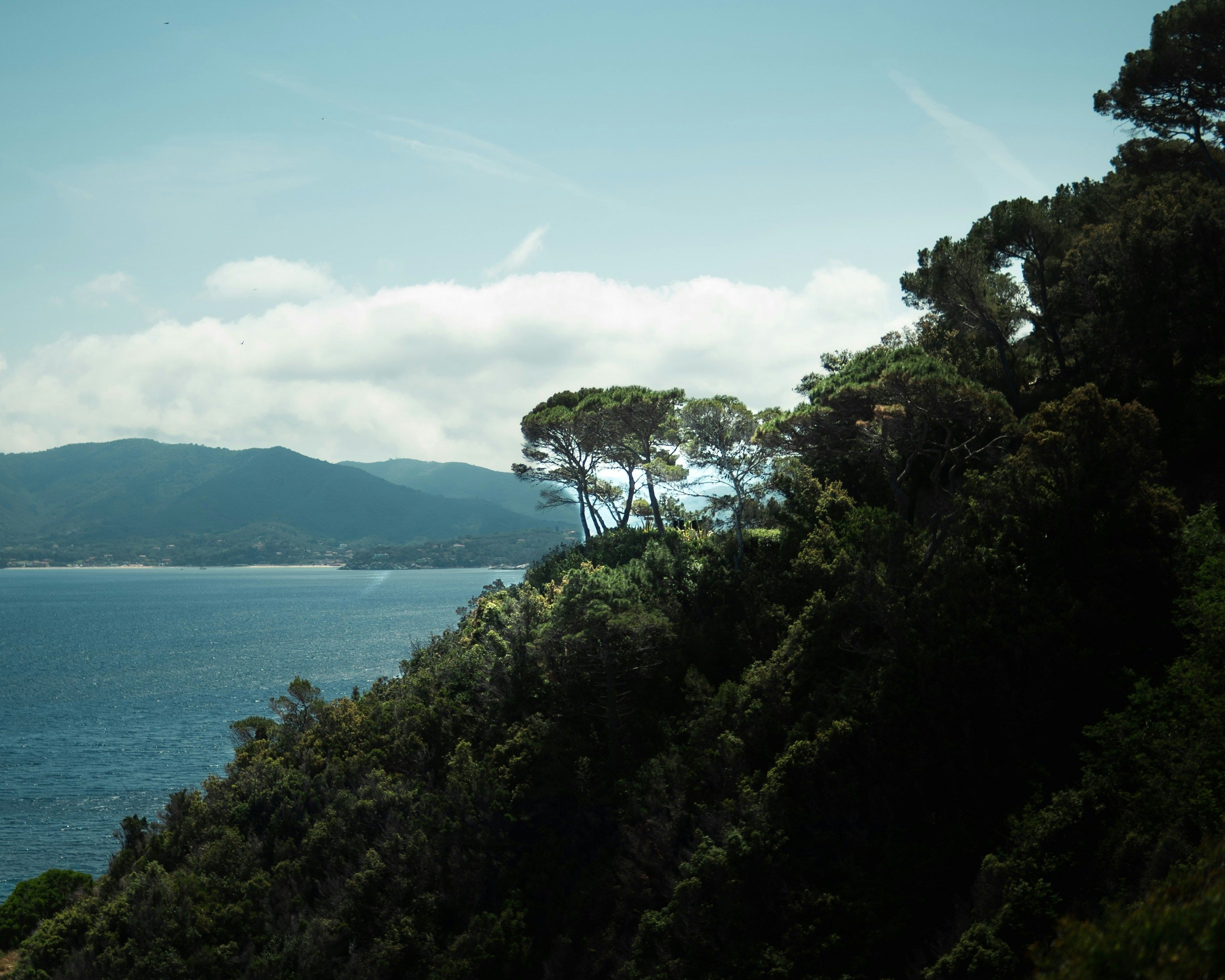 Livorno