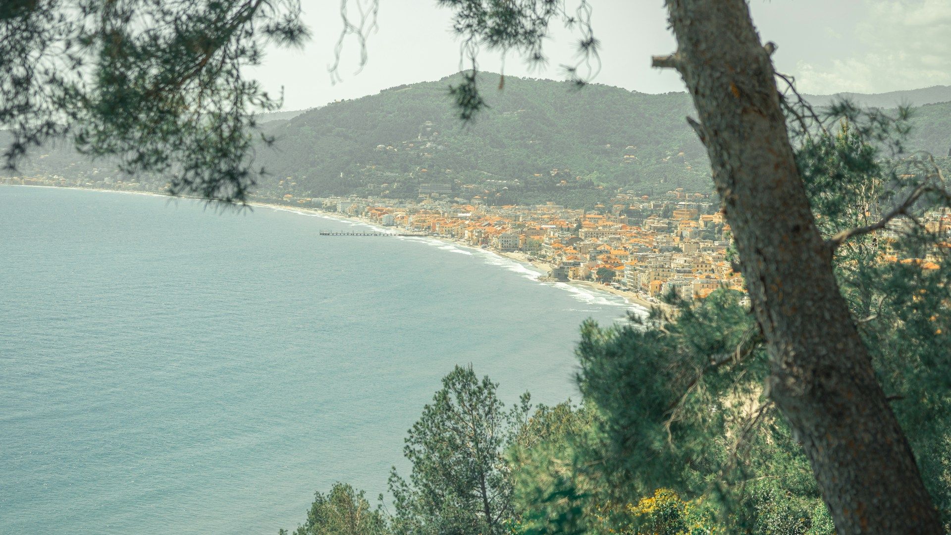 Savona