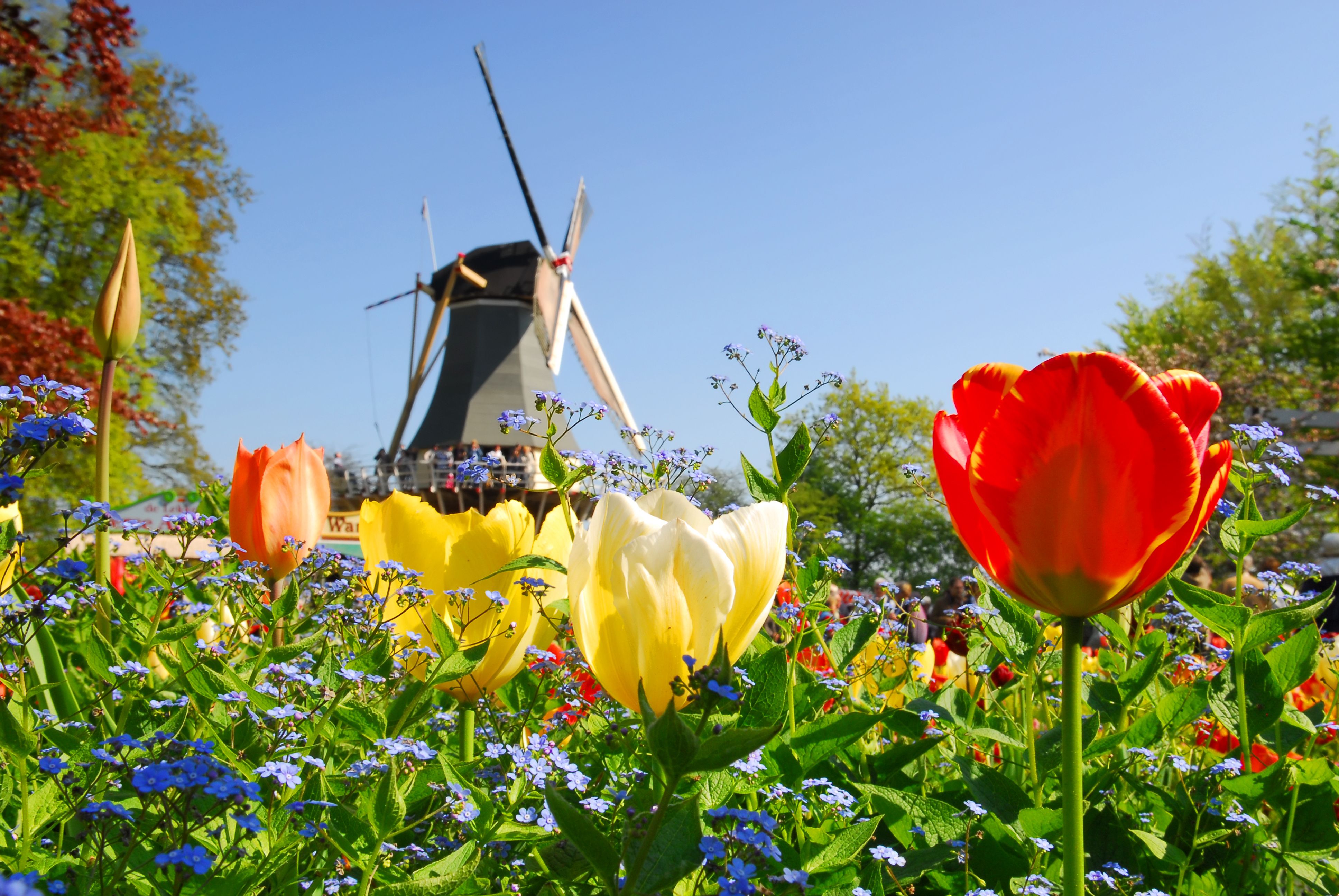 Niederlande