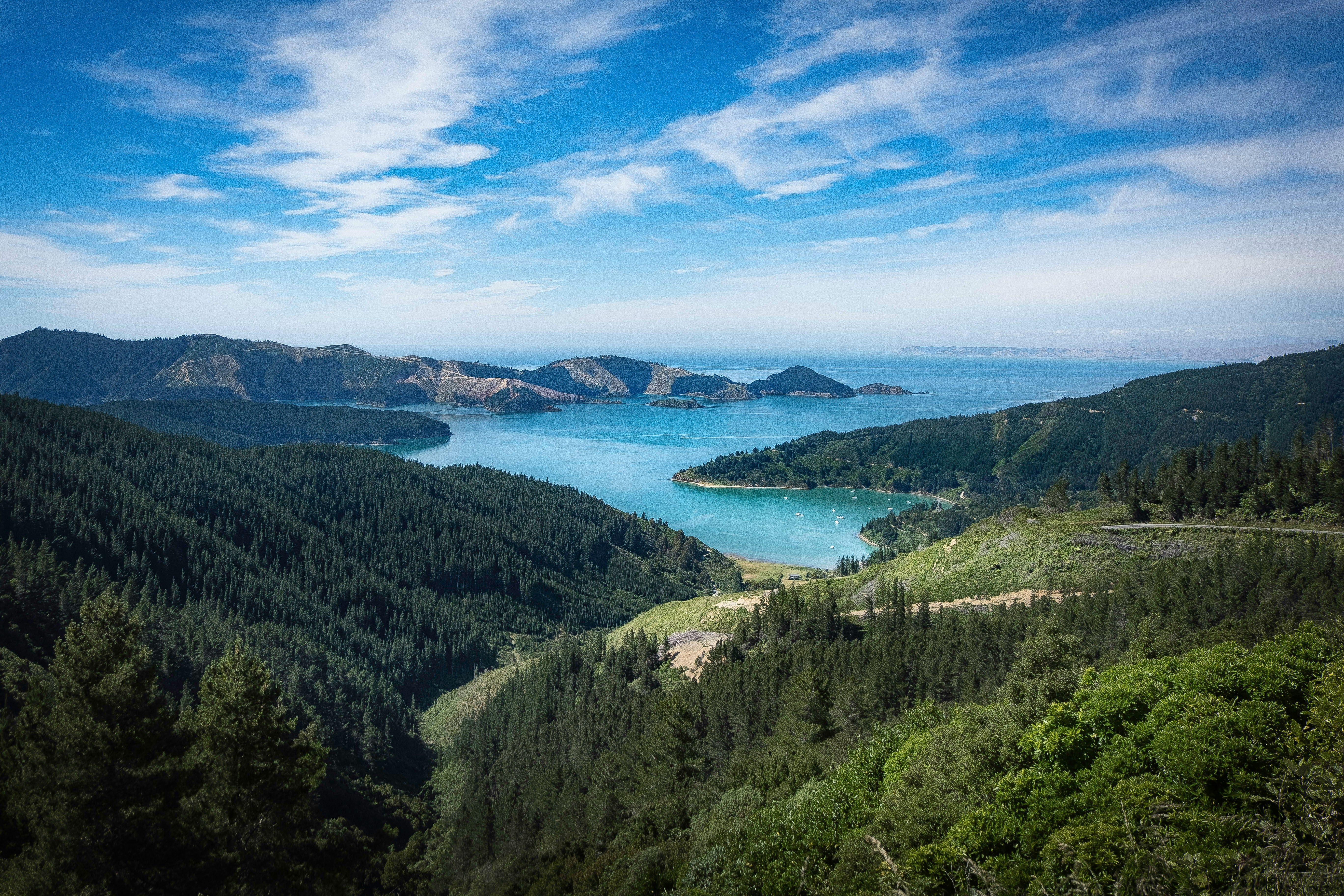 Picton