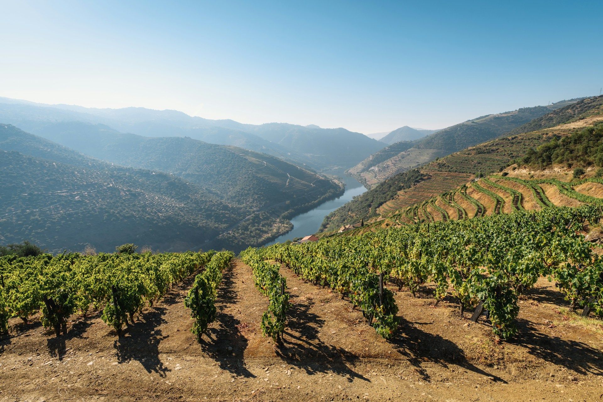 Douro