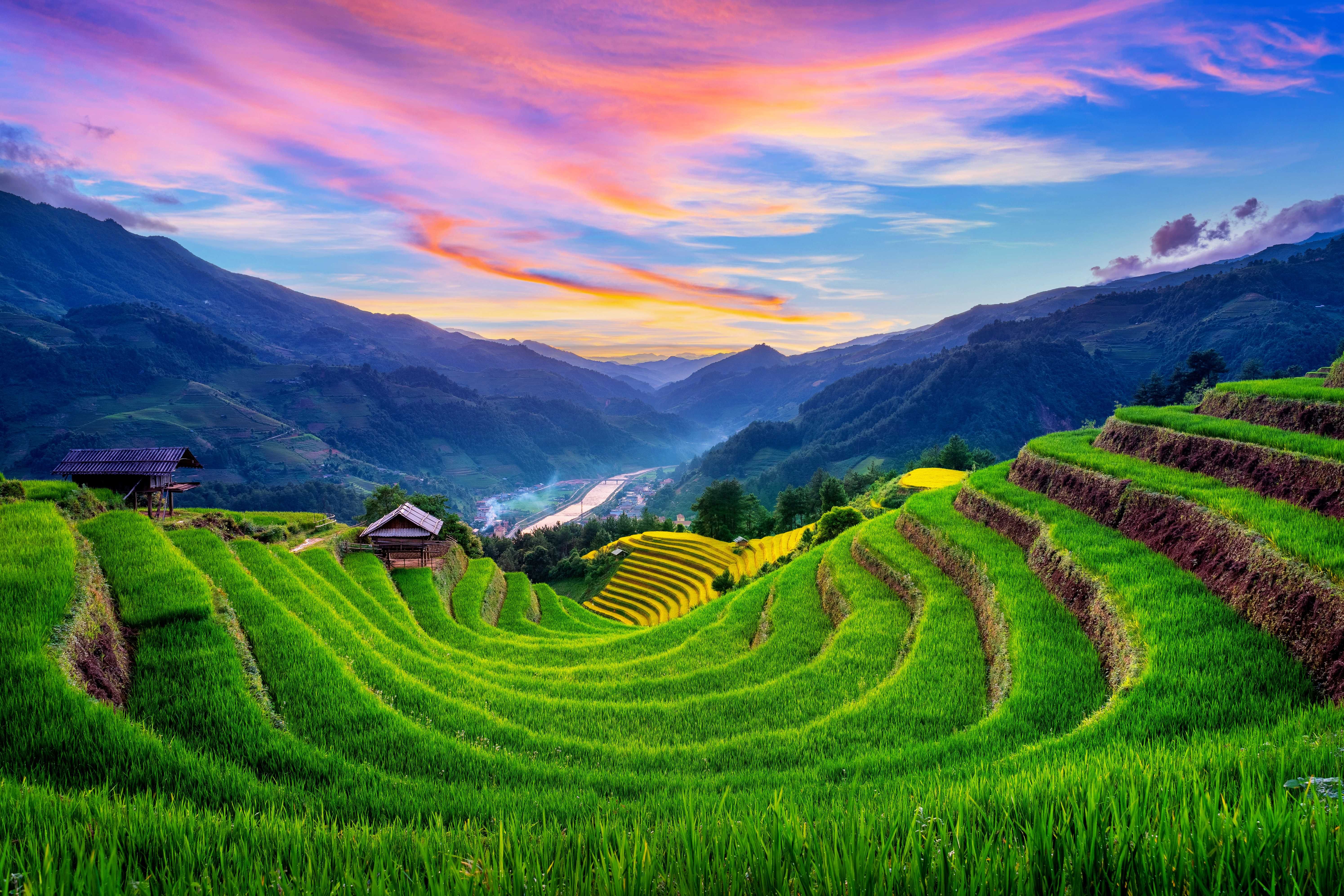 Vietnam