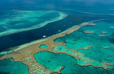 Great Barrier Reef Kreuzfahrten