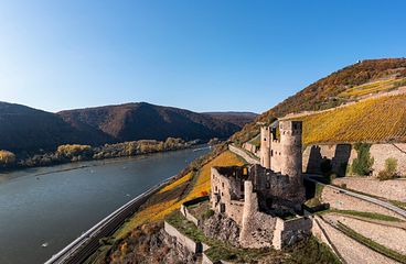 Rüdesheim am Rhein Flusskreuzfahrten