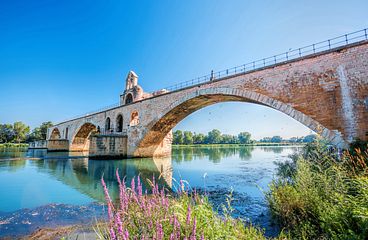Avignon Flusskreuzfahrten