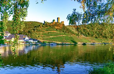 Mosel