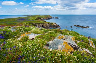 Irland Kreuzfahrten