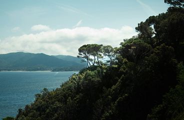 Livorno Kreuzfahrten
