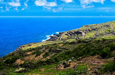 Pantelleria Kreuzfahrten