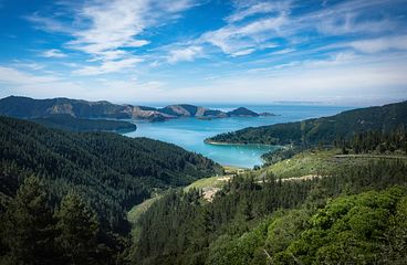 Picton Kreuzfahrten