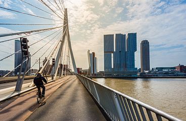 Rotterdam Kreuzfahrten