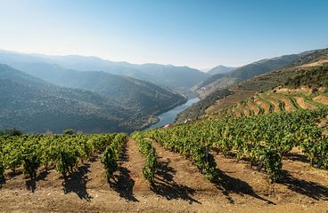 Douro