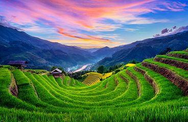 Vietnam Kreuzfahrten