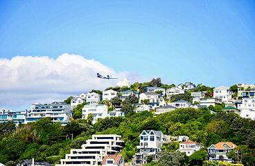 Wellington Kreuzfahrten