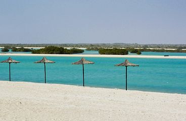 Sir Bani Yas Kreuzfahrten