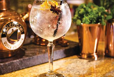 Gin Fizz