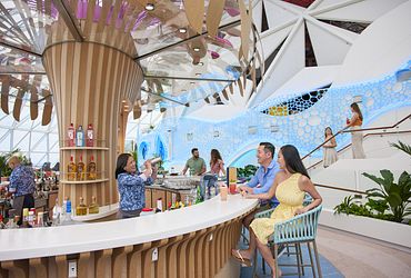 The Overlook℠ Bar & Pods 