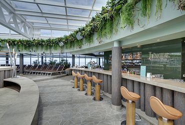Jungle Bar 