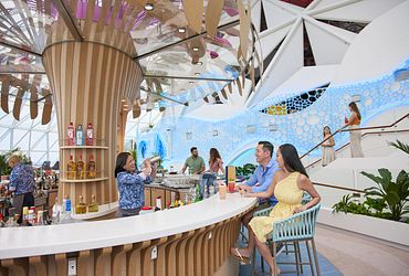The Overlook℠ Bar & Pods 