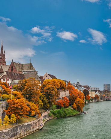 Rheinufer im Herbstlaub