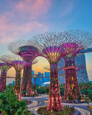 Gardens by the bay Singapur 