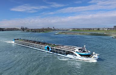 Rhein im Winterschlaf